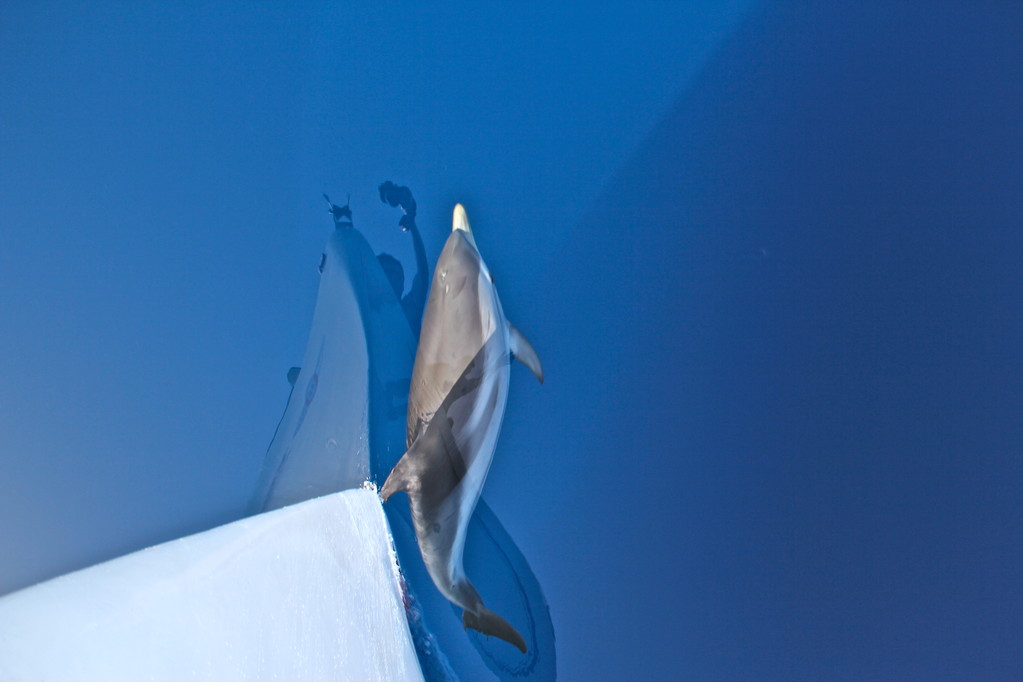 Drei Mann in einem Boot